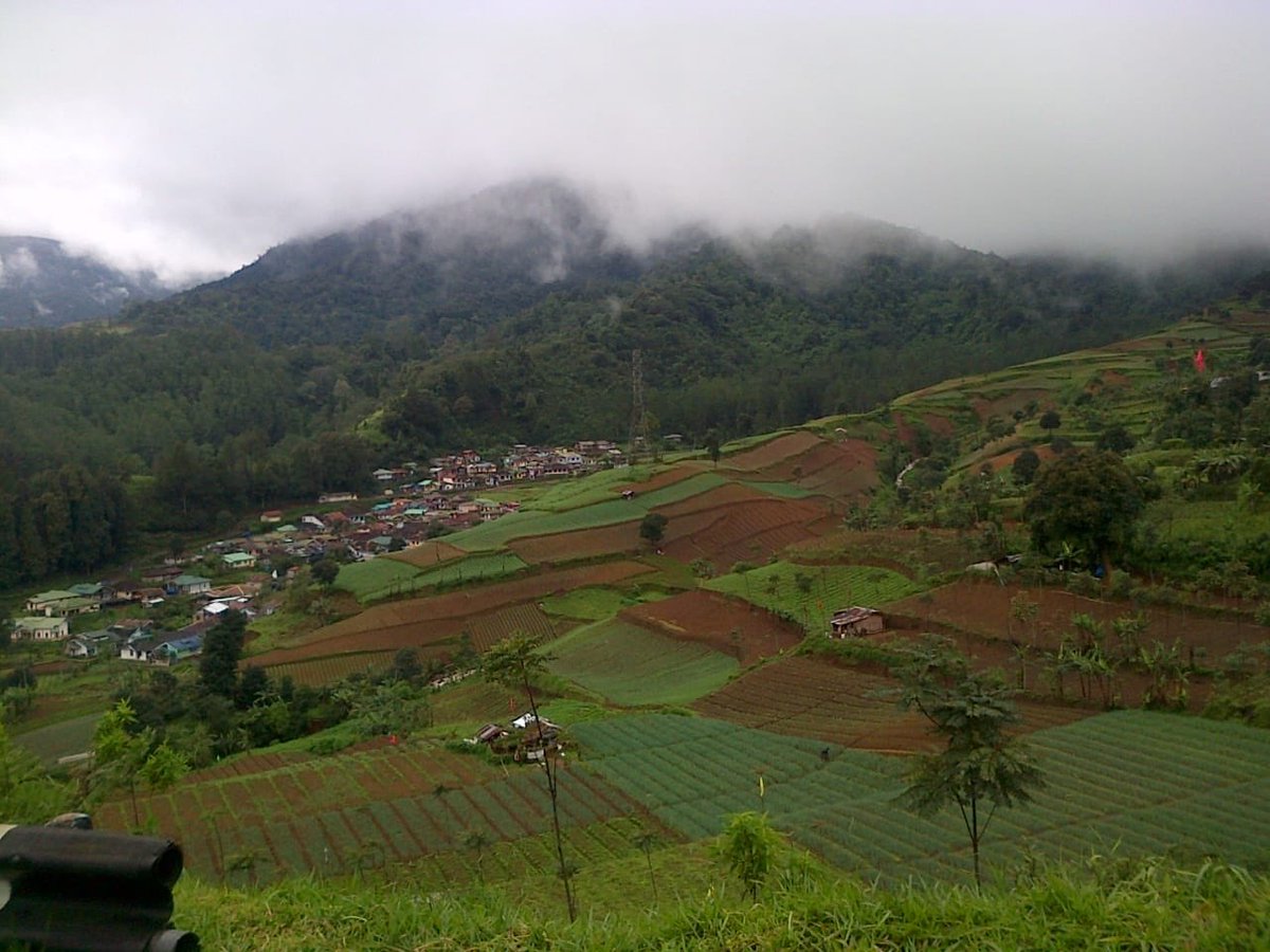 Puncak 19c