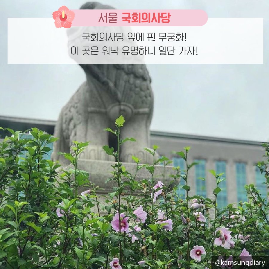 <인생샷 찍기 좋은 무궁화 5대 핫스팟>

무궁화와 함께라면 당신도 #셀피!
인생샷 찍기 좋은 무궁화 5대 핫스팟을 소개합니다!

[자세히 보기 : bit.ly/2Pp53Z5]

#행정중심복합도시 #행복도시 #행정중심복합도시건설청 #행복청 #행복 #카드뉴스 #사진 #인생샷 #무궁화 #무궁화테마공원 #11월