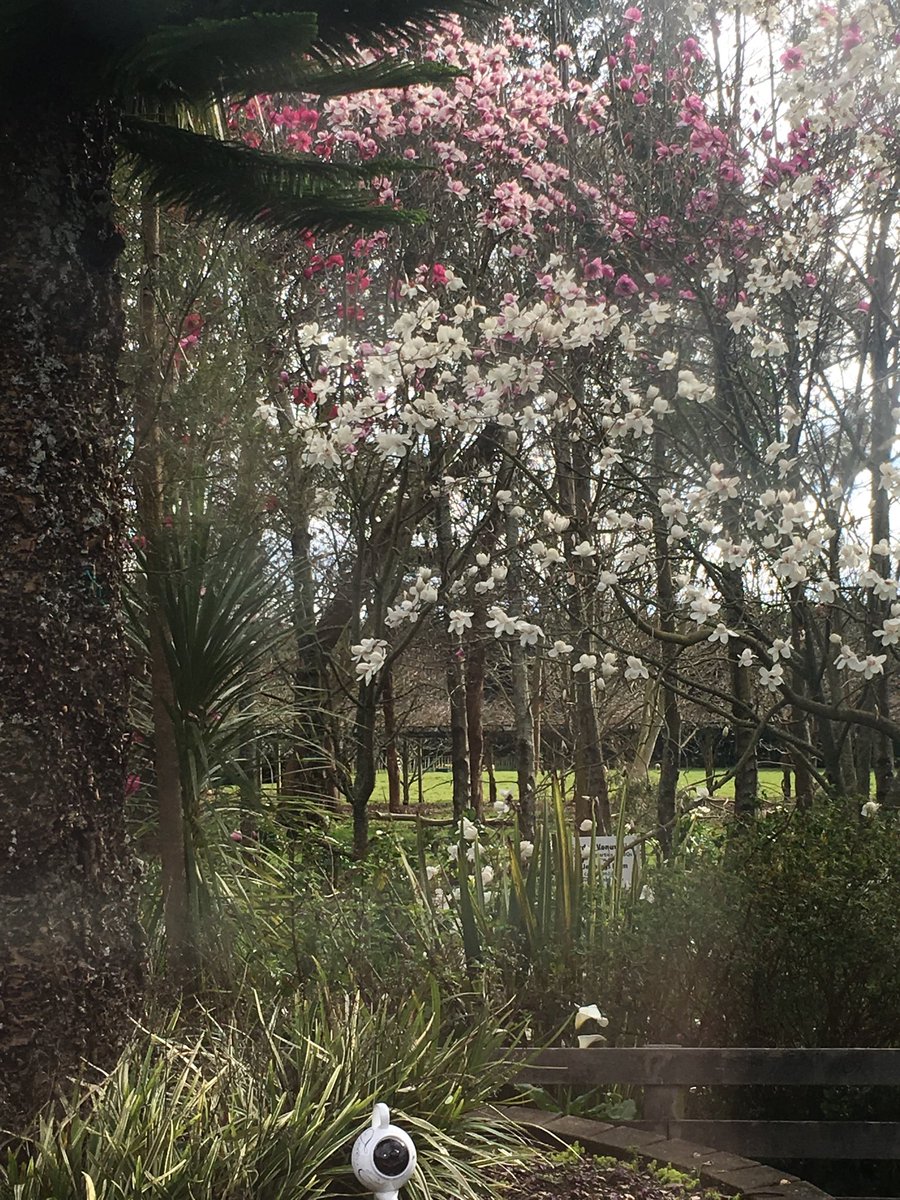 Spade Oak Vineyard tweet media