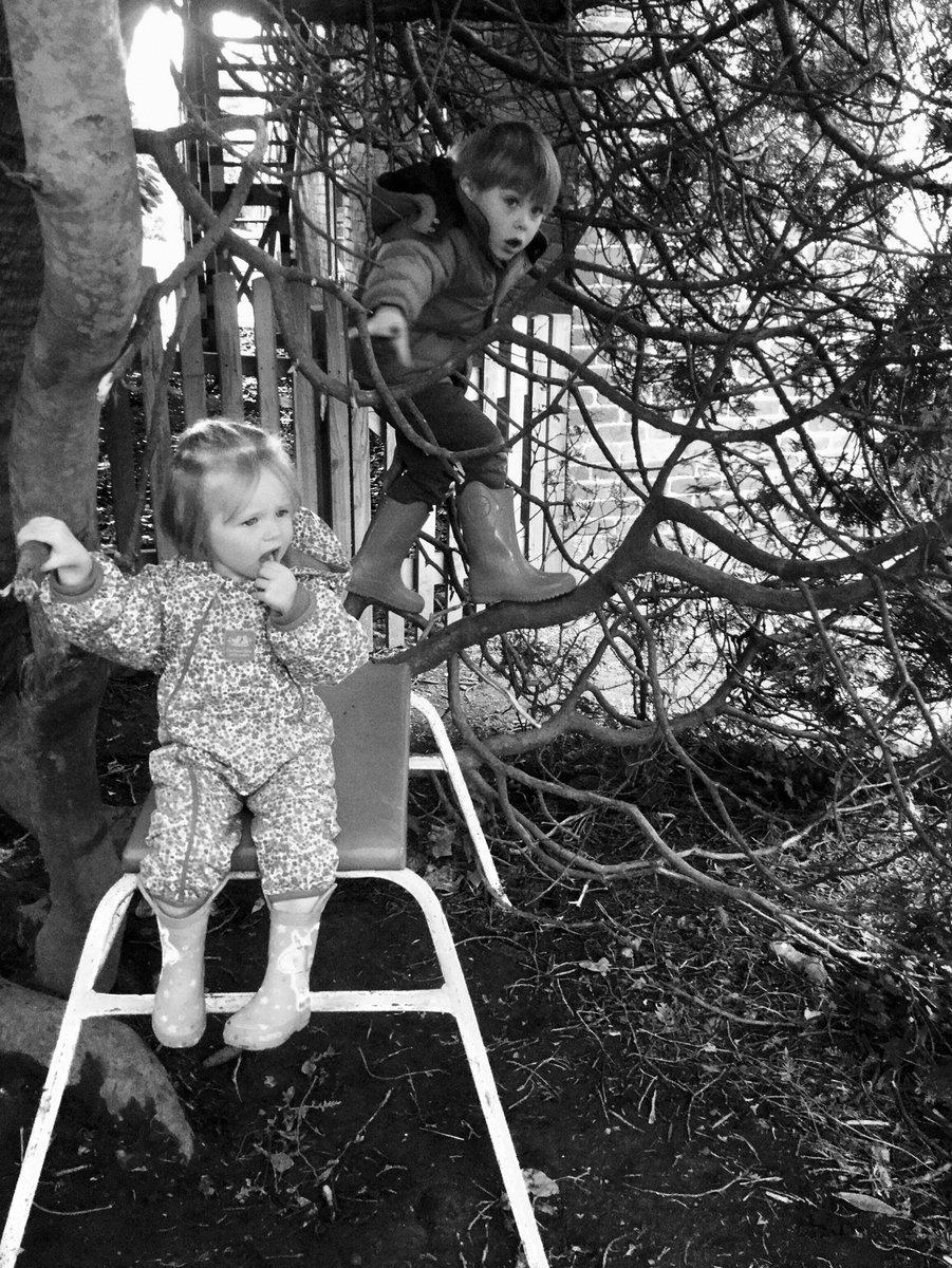 coedderwnursery's tweet photo. Little explorers love engaging in risky play through playing in our wonderful oak tree🌳! #RiskyPlay #DeepPlay #TreeClimbing #WildThings #LocomotorPlay #MasteryPlay #ExploratoryPlay #LittleExplorers #RiskTakers #PhysicalDevelopment #LittleProblemSolvers #OutdoorPlay #Nature #Fun https://t.co/erXek0K0hN
