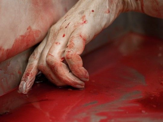 Devenir de la victoria heráclitea revistanada.com/2018/08/31/dev…