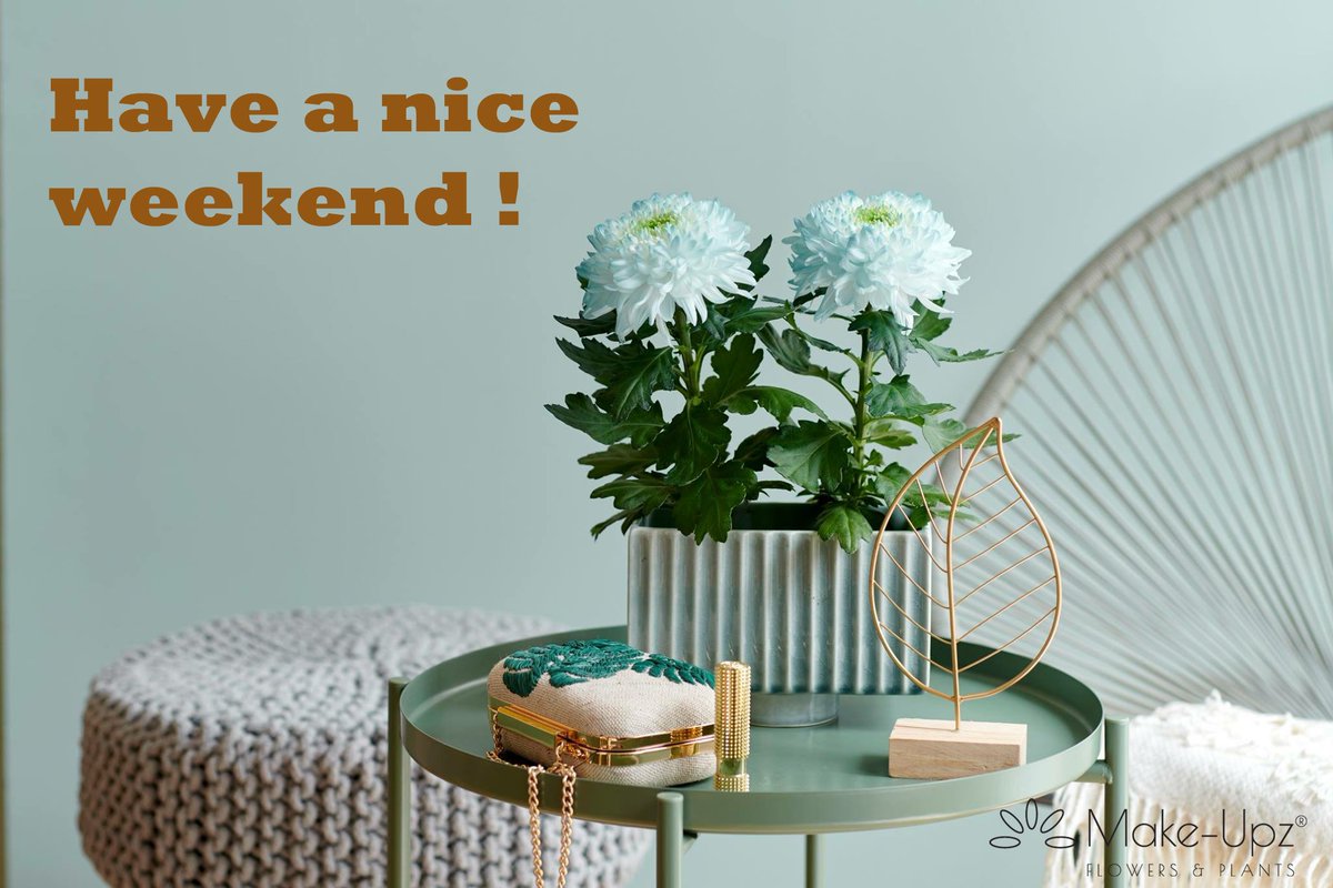 Jawel het is bijna weekend !

Make Upz® Magnum Blue

by <a href="/Lionplant/">Hans van Leeuwen</a> Specialebloemen.nl <a href="/FloraHolland/">Royal FloraHolland</a> #blue #happy #chrysanne #plant #styling #interieur #pastel #summer #industriel
