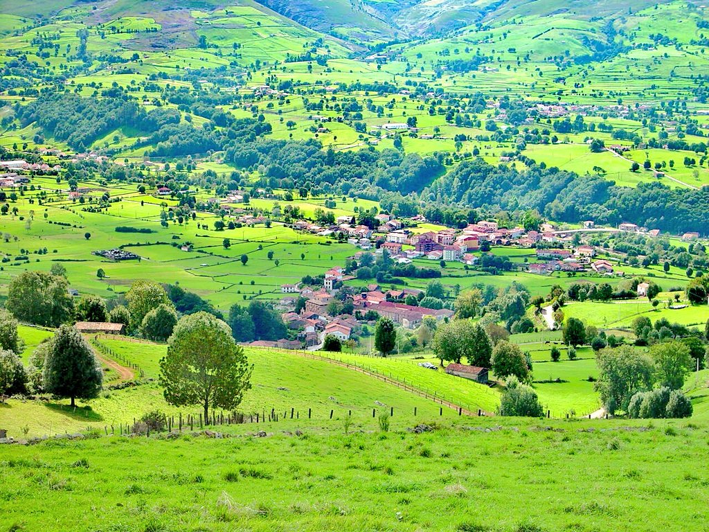 Daniel Yáñez (danielyr2365) Twitter