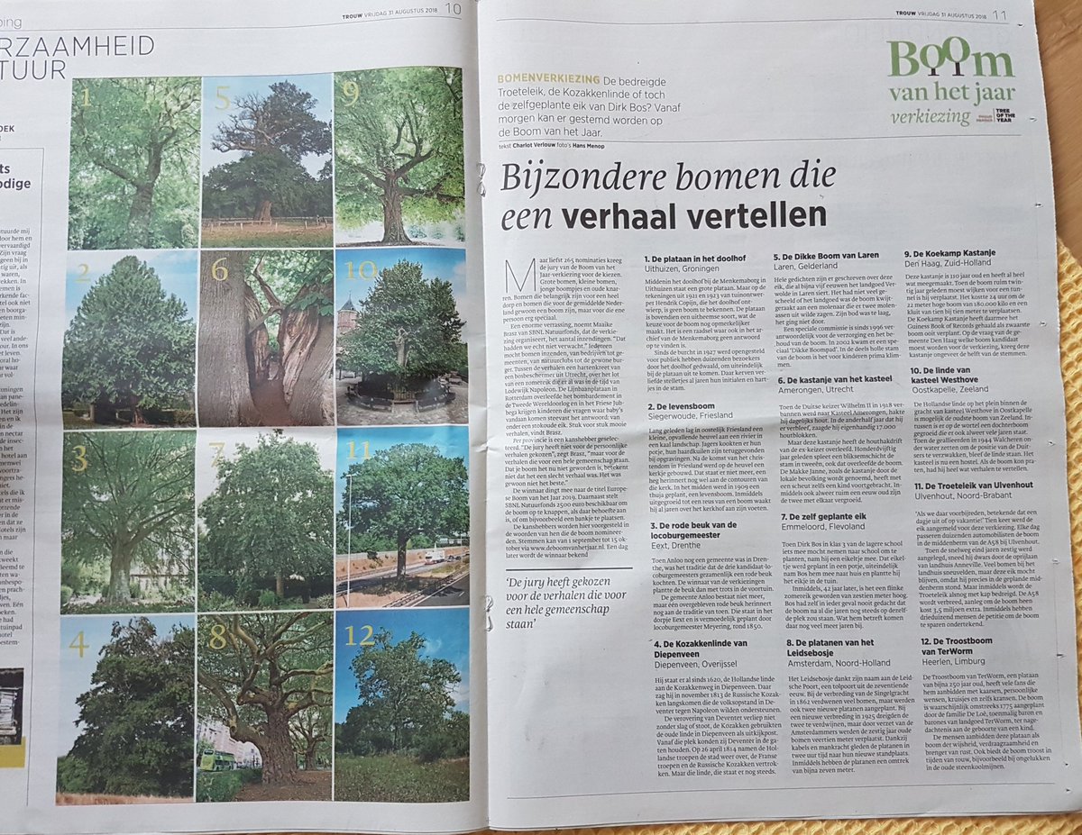 Stichting Steenbreek tweet media