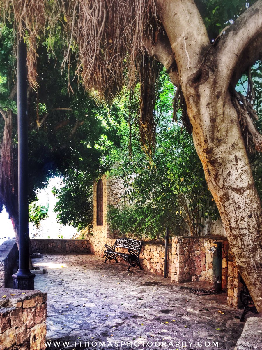 isa26367's tweet photo. Spanish public courtyard, Pego. #500pxrtg #Spain #FridayFeeling #weekendvibes #photographer #photographyeveryday #YourShotPhotographer #YourShot #HostelTraveler #dailyphoto #localcapture https://t.co/MDdXyNE7wS