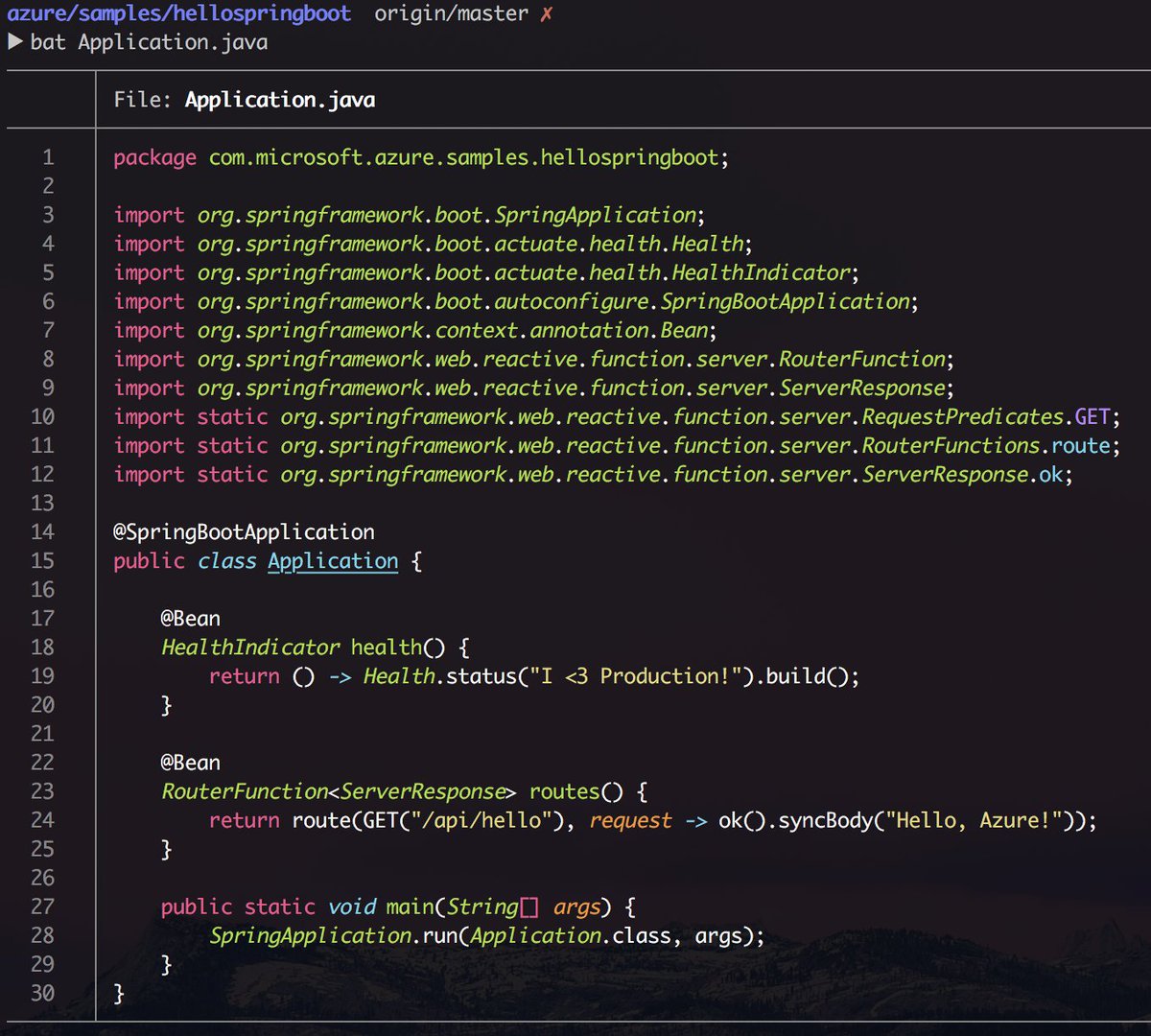 Go install `bat` right now.

$ brew install bat

It is like `cat`, but with wings.

github.com/sharkdp/bat