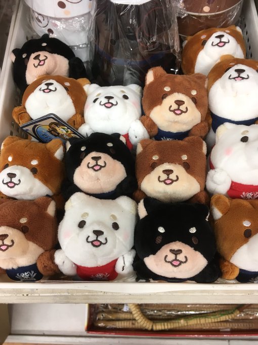 鎌倉 ギャラリー雅みやび おみやげ社長さん がハッシュタグ もち柴 をつけたツイート一覧 1 Whotwi グラフィカルtwitter分析