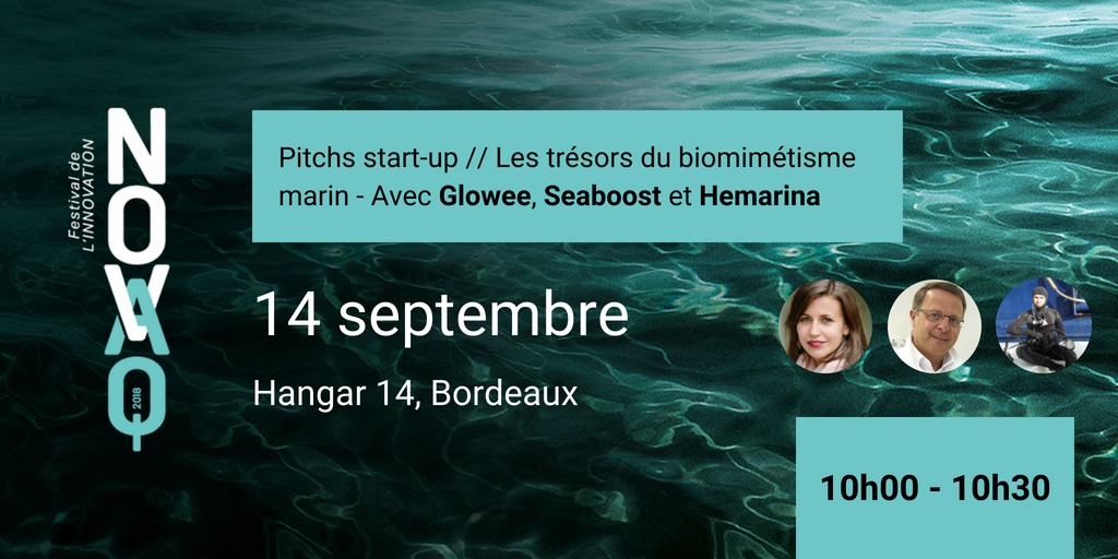 Aquitaine_Innov's tweet photo. #Ocean 🌊 On l'a encore peu compris : le biomimétisme marin cache de véritables trésors.

Eux l'ont compris, et nous en parlent le 14/09 #NOVAQ :

✔︎  Ludivine Guérineau @weloveglowee
✔︎ Julien Dalle @Seaboost
✔︎ Franck Zal @Hemarina

Inscription : https://t.co/rp5BzLmXlk https://t.co/kRbUZVYL9B