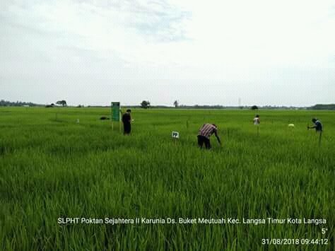 thlpoptaceh's tweet image. Insan Perlintan
Padamu negri
@ditlin_tp 
@distan_tph_aceh 
@THLPOPTNASIONAL 
#SalamPerlintan