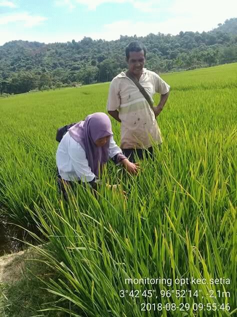 thlpoptaceh's tweet image. Insan Perlintan
Padamu negri
@ditlin_tp 
@distan_tph_aceh 
@THLPOPTNASIONAL 
#SalamPerlintan