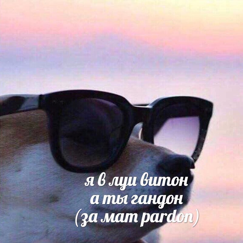 Dl6a5p2XsAAwd9C?format=jpg&name=900x900