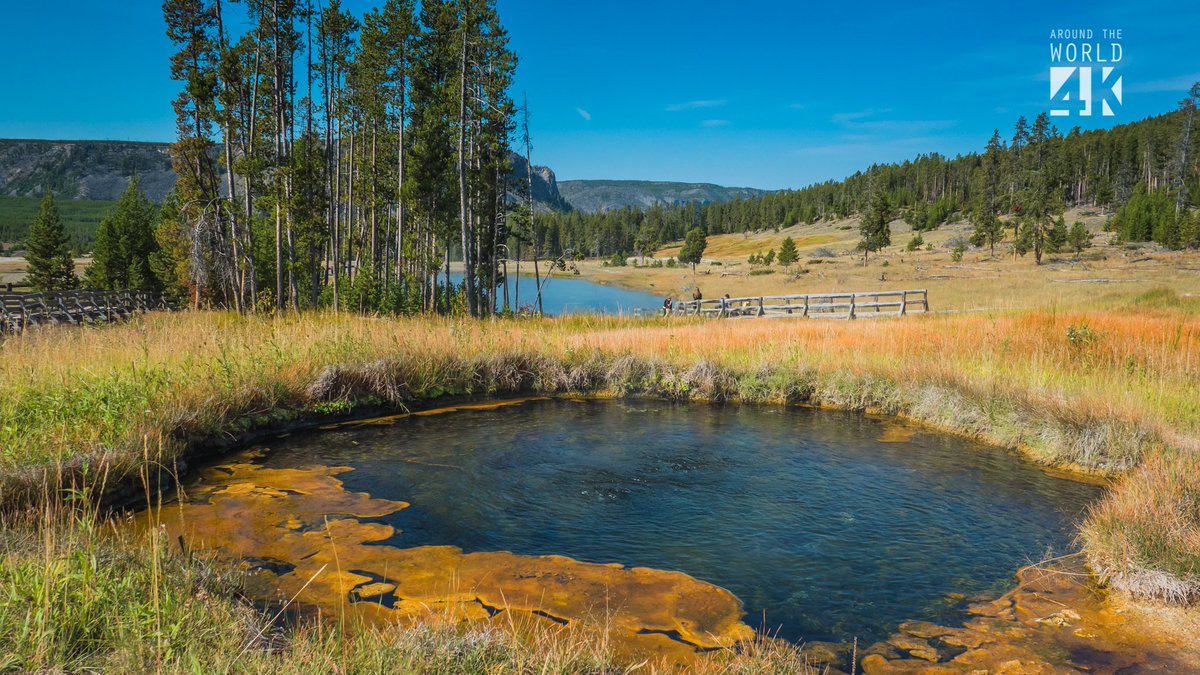 Around The World 4K tweet media