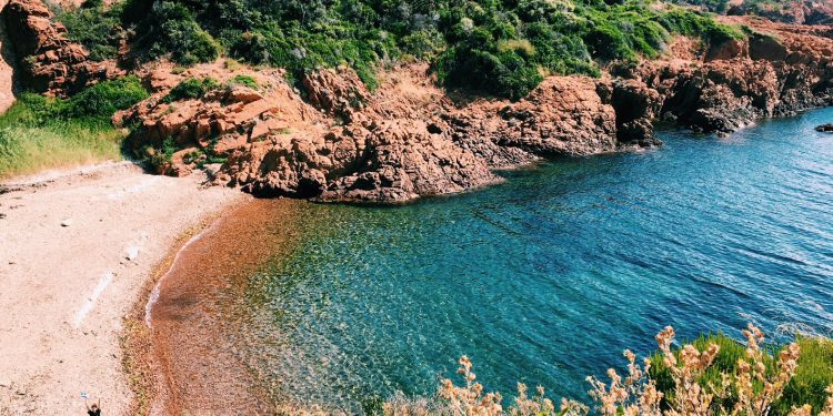 BergundSee's tweet photo. The Best Saint-Raphaёl Beaches the Top 5 Picks for Family Fun https://t.co/QMFkV3ebxj #ExploreProvence #SaintRaphaël byLetsexploreCh
#CotedAzurFrance https://t.co/X8agl5Cg9D