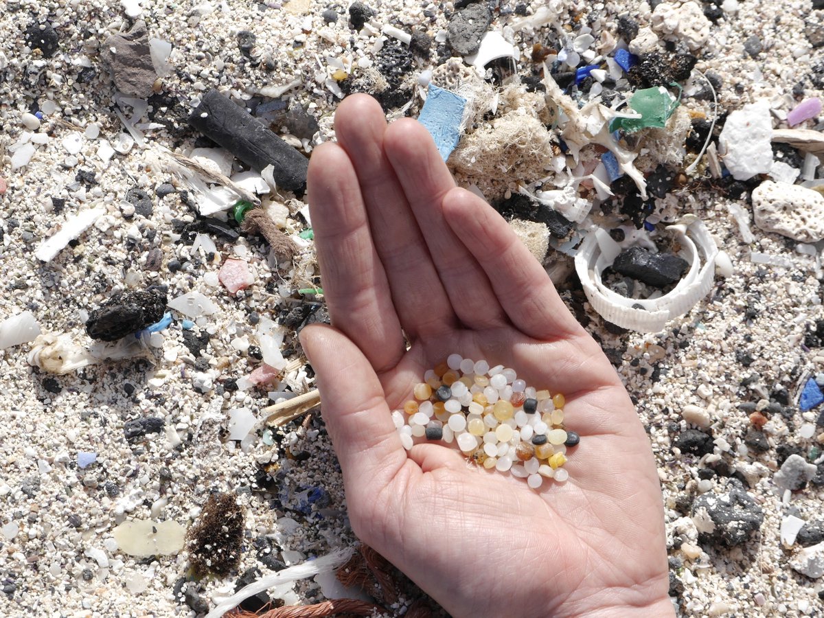 BASF's tweet photo. “Marine littering is a major environmental challenge. I am looking forward to the discussion with international experts about possible and sustainable solutions,” - Peter Saling at today’s panel discussion @lcic2018. Share your thoughts now via #lcic2018! https://t.co/LIWci2aszf https://t.co/DFFnaTnGR3