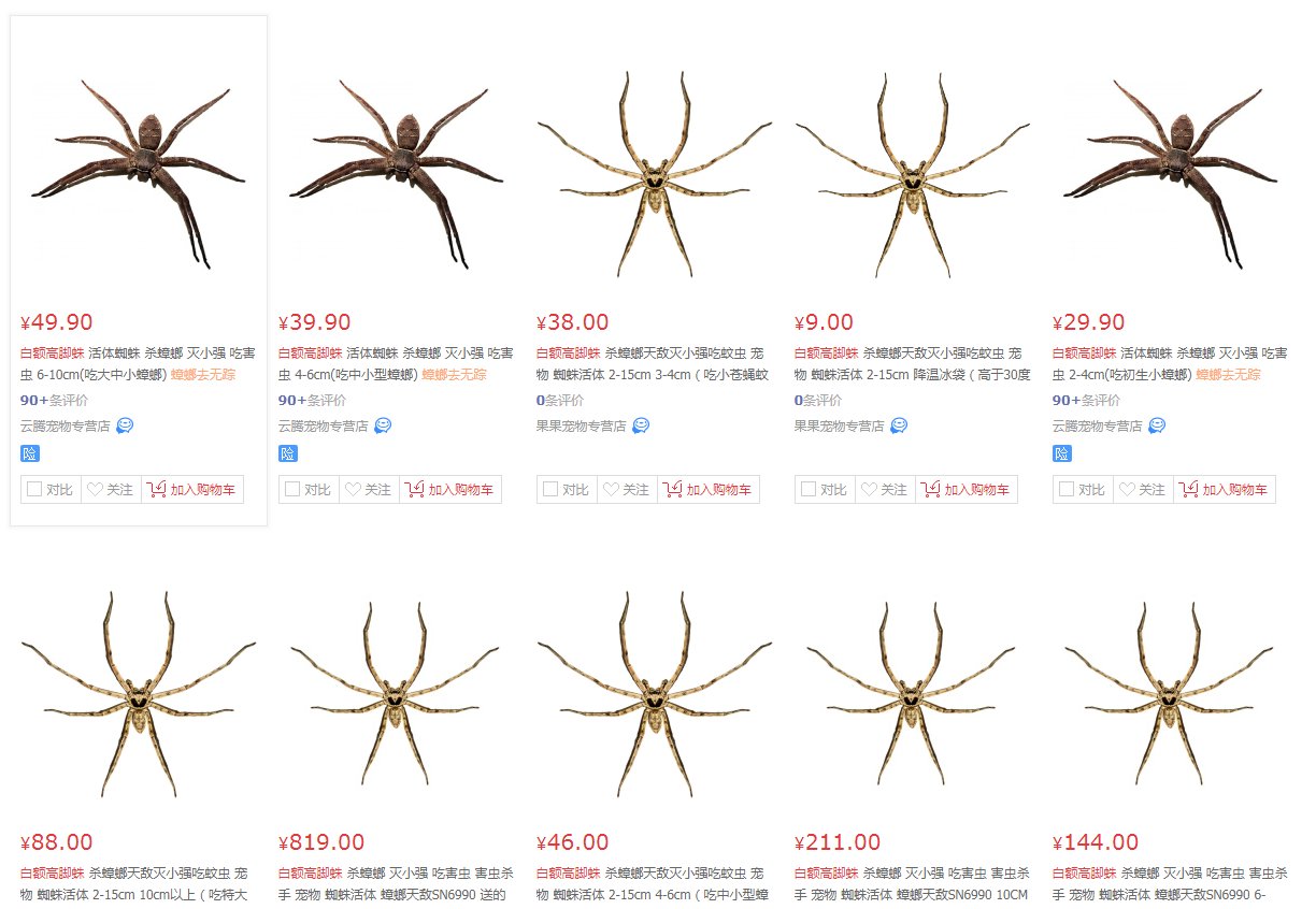 Global Times Chinese Are Releasing Huntsman Spiders In Their Homes To Eat Up Roaches T Co Opvgja64km T Co Ehzrz2cevh Twitter Global Times Chinese Are Releasing Huntsman Spiders In Their Homes To Eat Up Roaches T Co Opvgja64km T Co Ehzrz2cevh Twitter