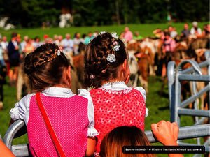 Viehscheid-Däg 

Die Pfrontener Viehscheid, der größte Alpabtrieb im Allgäuer Schlosspark, zieht jedes Jahr Tausende Besucher an.

Vor und nach diesem Wochenende locken die „Viehscheid Däg“ zum zehnten Mal mit attraktiven Angeboten rund um die Alpwirtsch… ift.tt/2Po2vdz