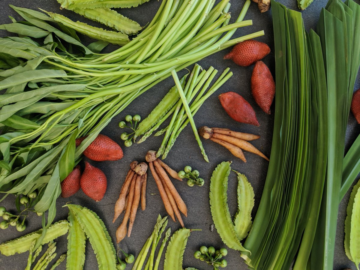 SolsticeFood's tweet photo. Beautiful produce direct from Thailand 🇹🇭
#pandanleaf #thaiproduce #snakefruit #wingbeans #peaaubergine #thaichef @01greengrocer @jason_boakes @philipbritten @TonyGreengrocer https://t.co/VZg0hz30qI