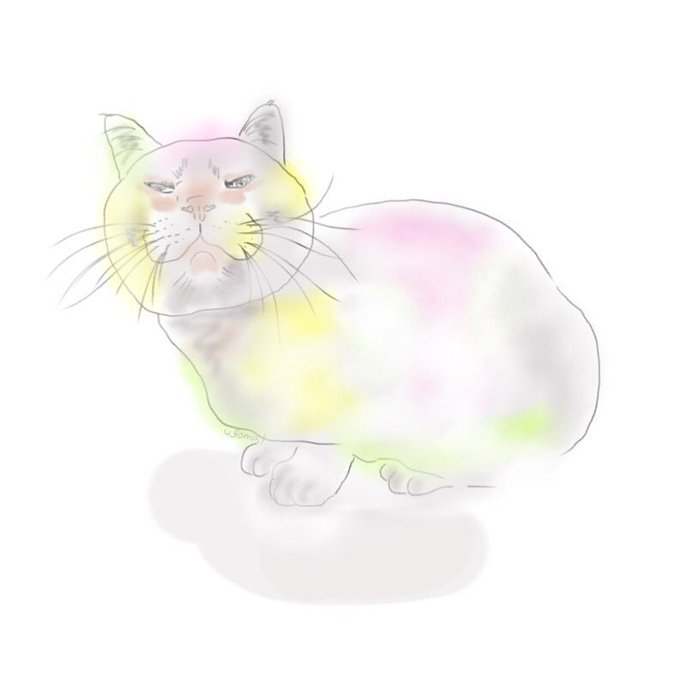 猫が幸せなら世界は平和のtwitterイラスト検索結果 猫が幸せなら世界は平和のtwitterイラスト検索結果