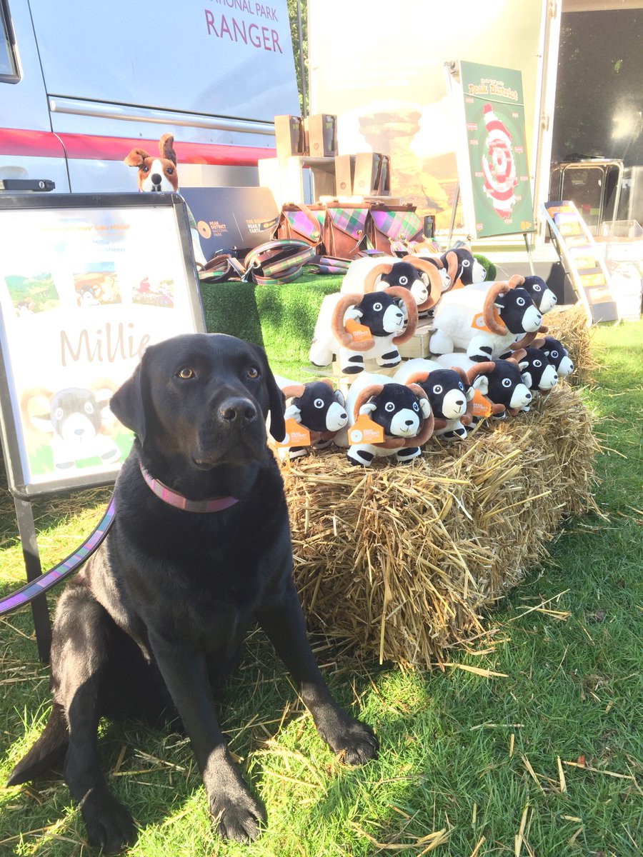 peakdistrict's tweet photo. Anyone for a @PeakMillie? Special show price of £10 this weekend! Or how about a lovely #PeakDistrict tartan dog collar? 🐶

@ChatsworthCFair https://t.co/3Ug18IX2JD