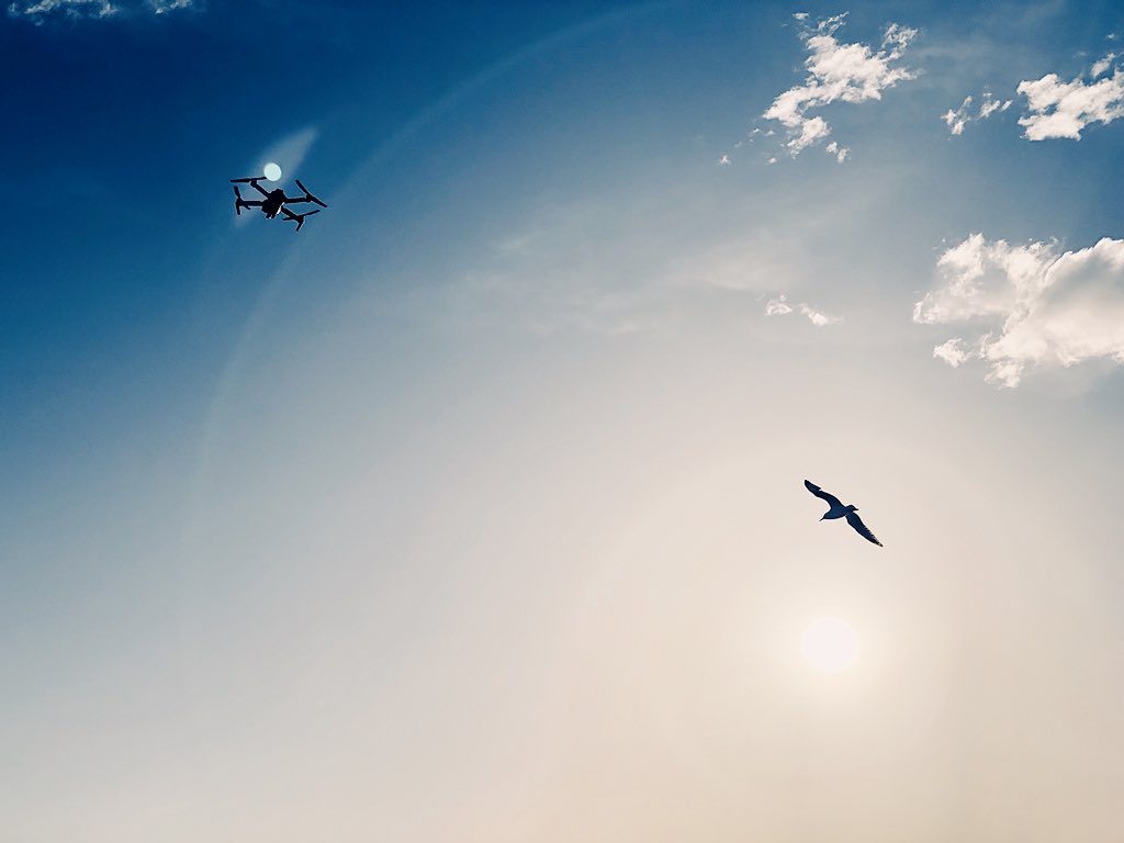 ClaraChongMCF's tweet image. Is it a bird? Is it a plane? #kindasorta #onlocation #aerialphotography #filmmaking