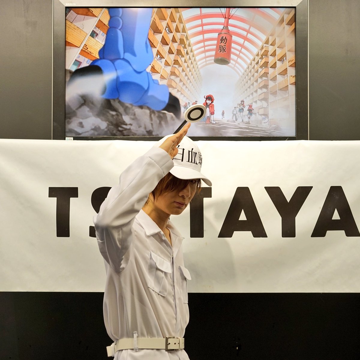 昨日の人気記事です♪ 前野智昭​さんが『はたらく細胞』白血球の