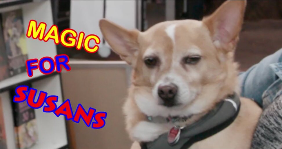 _jeanea's tweet image. B E S T #MagicForSusans #MagicForHumans