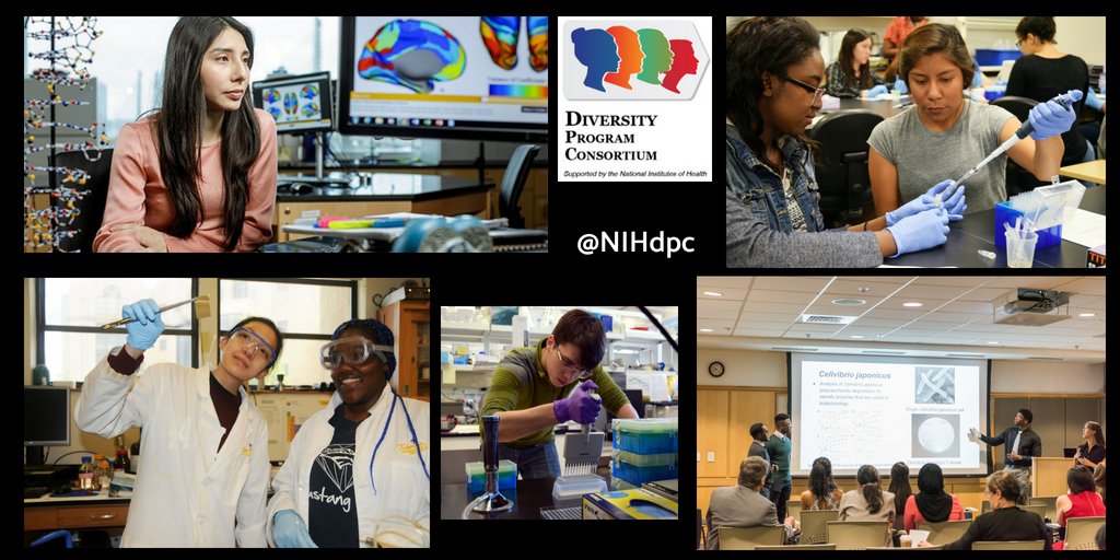 NIH's tweet photo. Through BUILD, students gain hands-on #UndergraduateResearch experience, which supports their development as #scientists. #DiversityMatters #ThisIsNIGMS #myBUILDresearch #ThisIsNIH https://t.co/LfvC9g92wr
