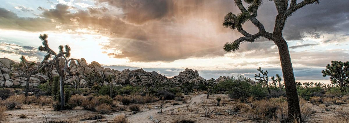 OIA's tweet photo. ICYMI: The California legislature gave final, unanimous, passage to AB 1918, the bill to create the Office of Sustainable Outdoor Recreation! Read more and RT to spread the good news: https://t.co/b3VDmLhZPm https://t.co/zKfvQj7DVa