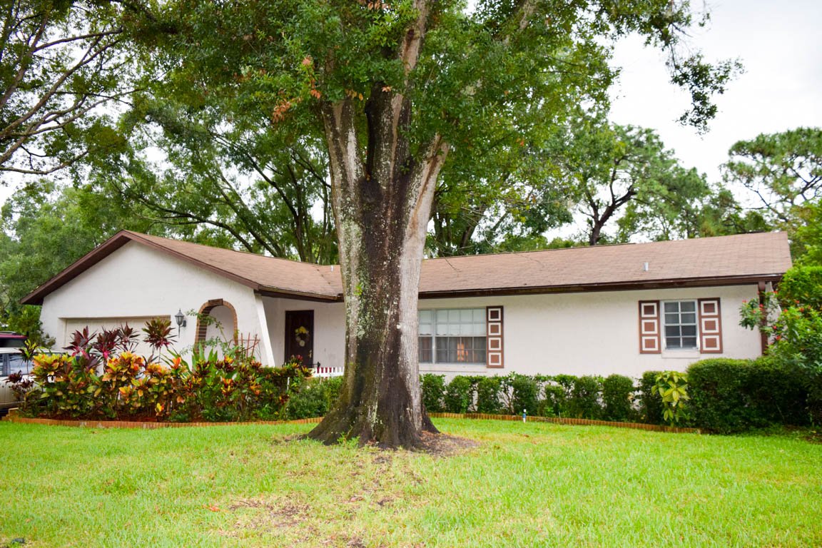 BryanBlakeTeam's tweet photo. Open House Sunday 9/2 12-3 2825 Moss Grove Blvd Orlando Spacious Lot 4/2 Pool + Spa Home https://t.co/cZhz8CmxuL #OpenHouse #RealEstate #realtor #Orlando #buyme #PoolHomeForSale https://t.co/r9ljnmmpjh
