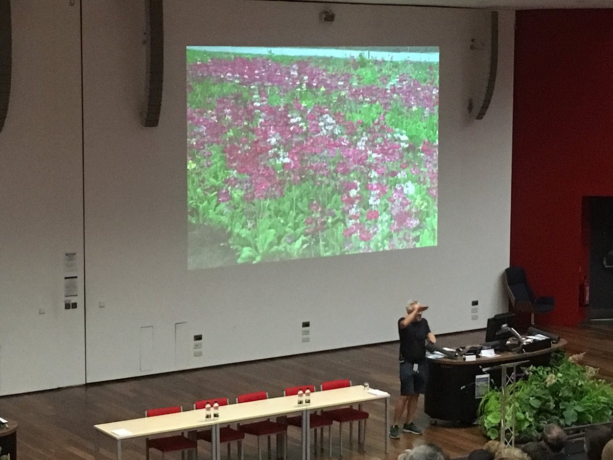 cfdesheff's tweet photo. Exploiting patterns of flowering in designing meadows @HitchmoughJames explains to @BethChattoGdns symposium @LandscapeSheff https://t.co/p2xdpkX780