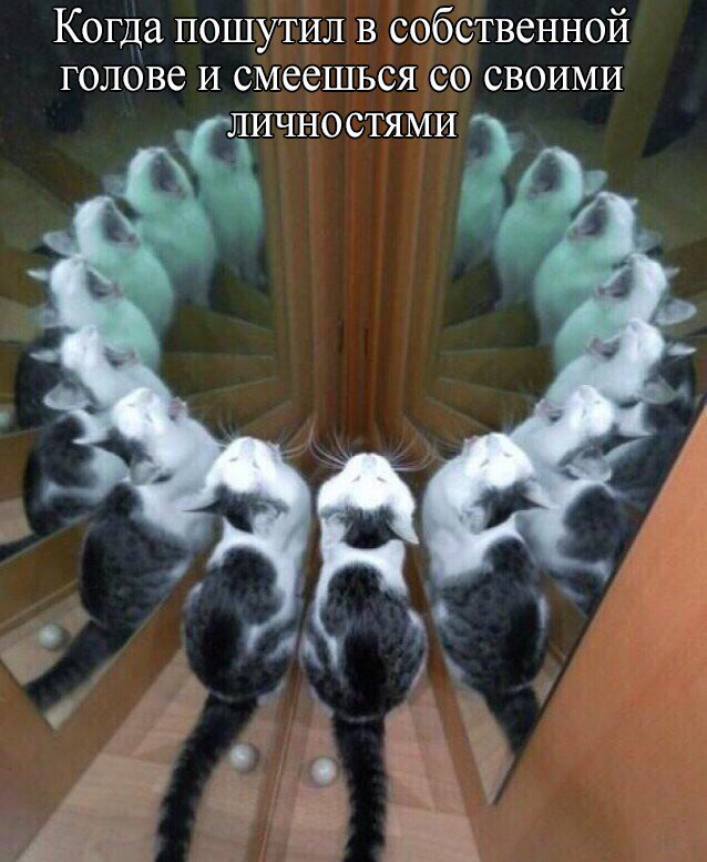 Dl75n7rXgAEAg5k?format=jpg&name=900x900