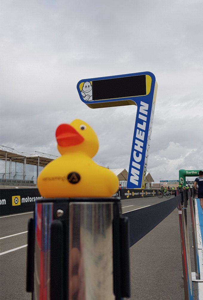 Versusmind's tweet photo. Notre mascotte est revenue épuisée de ses vacances sportives, après avoir participé aux 24h du mans en vélo 🚲

#duck #versusfamily #touristlife #holidays #cestlarentree https://t.co/MYF304oPXL