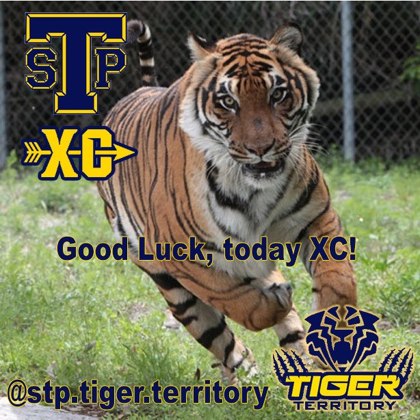 StpTiger's tweet photo. Always up early putting in the work, show 'em what you've been working towards!  Good luck at AISD XC Invitational, @sTpXC!  #stptigers #sphs #stpxc #stontpointcrosscountry #stonypoinths #onestreakstp 
AISD XC Invitational @ Walter E. Long Lake 7:30AM to 10:30AM https://t.co/p2PSbDr9tI