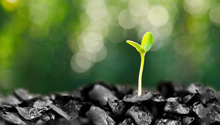 billingparadise's tweet image. What are your recommendations for practice managers to meet or exceed quality measure guidelines?

bit.ly/2wy6cW6

#ExpertDiscussion #PracticeManagerInterview #BillingandCollections #PracticeManagement  #RCM