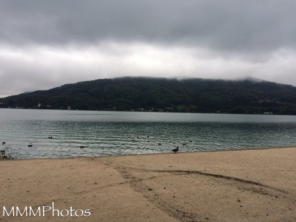 ManuelaMravlak's tweet photo. No trace of hectic,
nervousness or the like —
just a lot of cute ducks 🦆 which also have their peace (because the whole tourist will not bathe today.) 😊
This dark, deep blue, which carries the lake today, mesmerizes me magically..✨
Looks so special. #MMMExperiences #MMMatWork https://t.co/Zas7QRo41I