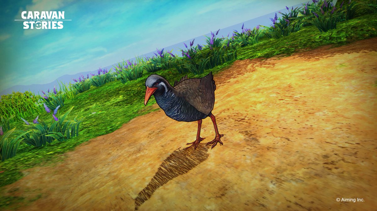 公式 Caravan Stories イエ島イベントも終盤に差しかかかっておりますぞ 次週のアップデートでは更に新ビーストの ヤンバルクイナ が追加されるのでございます 皆さまぜひ会いに行ってくだされ キャラスト