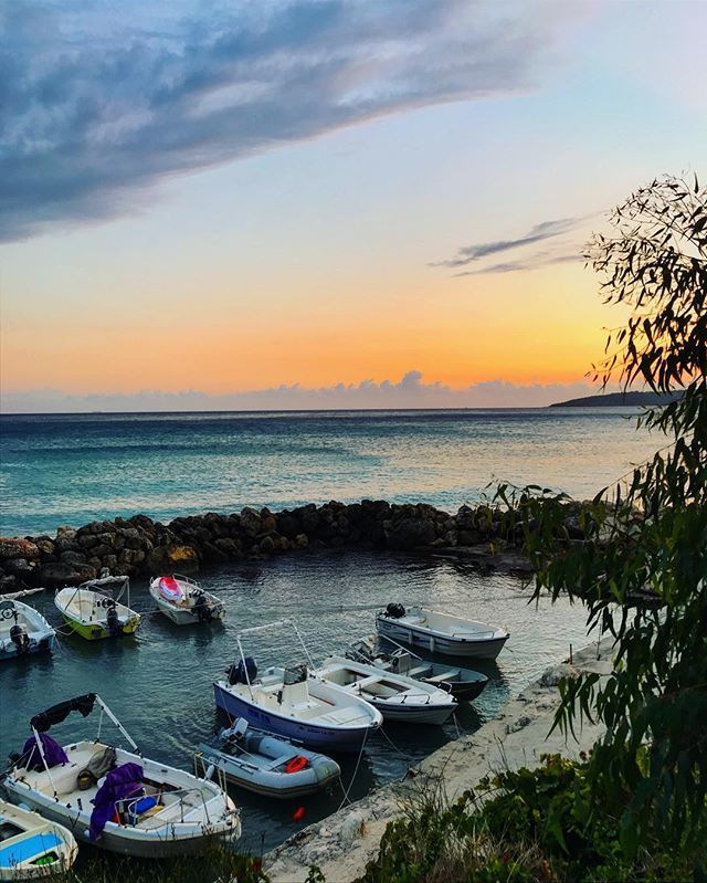 JC_Architects's tweet photo. View from the taverna at Lourdas beach #lithero #litherotavernalourdasbeach #kefalonia #fish https://t.co/LeQoUt7EK0 https://t.co/qYxdK4fLJT