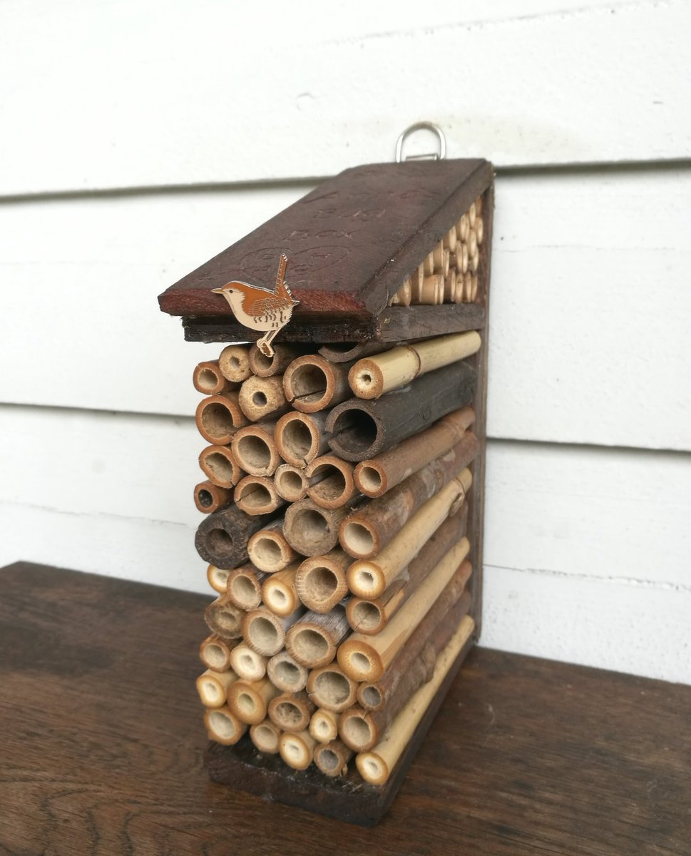 anna_l_o's tweet image. My love @Deanus made me a fantastic bug box with a most awesome inscription. Can't wait for some Swedish bugs to move in.
#bugbox