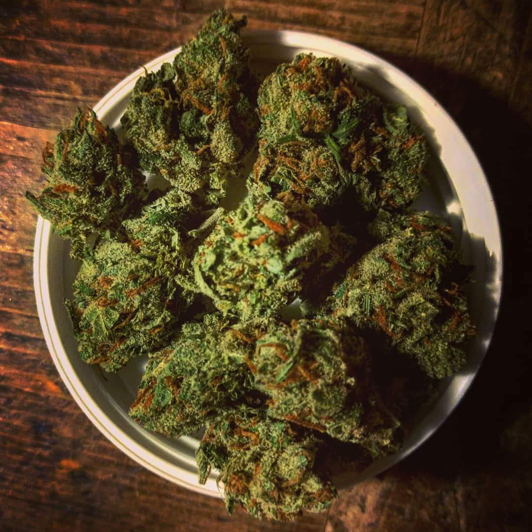 Mimi_THC's tweet photo. Sure was good. Purified
Water, Sun Nurtured, Responsibly Grown, Pesticide Free. https://t.co/XnyfzZIdSk https://t.co/KPmjUq6eFJ