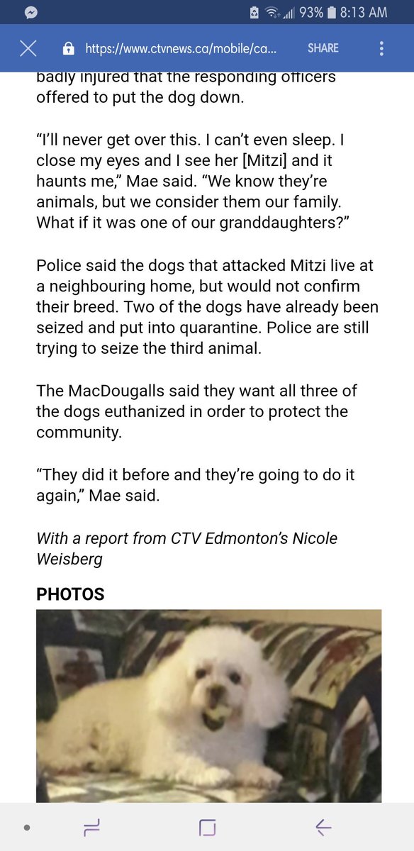 bethypoo2008's tweet photo. #ctvnews you should be ashamed! Blaming pitt bulls when they can't even confirm the breeds! #ctvnewsfakenews #fakenews #pitbullhaters https://t.co/4LOiCYVtqL
