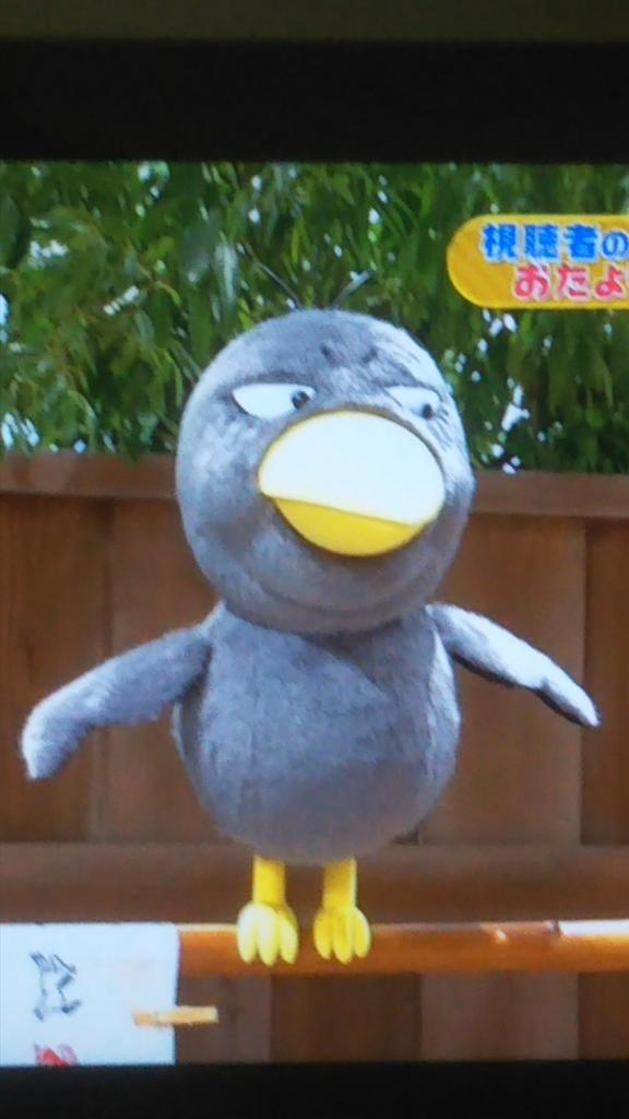 小松の黒い鳥キョエwww Twitterren つまんねー奴だなwww チコちゃんに叱られる 小松の黒い鳥キョエwww Twitterren つまんねー奴だなwww チコちゃんに叱られる