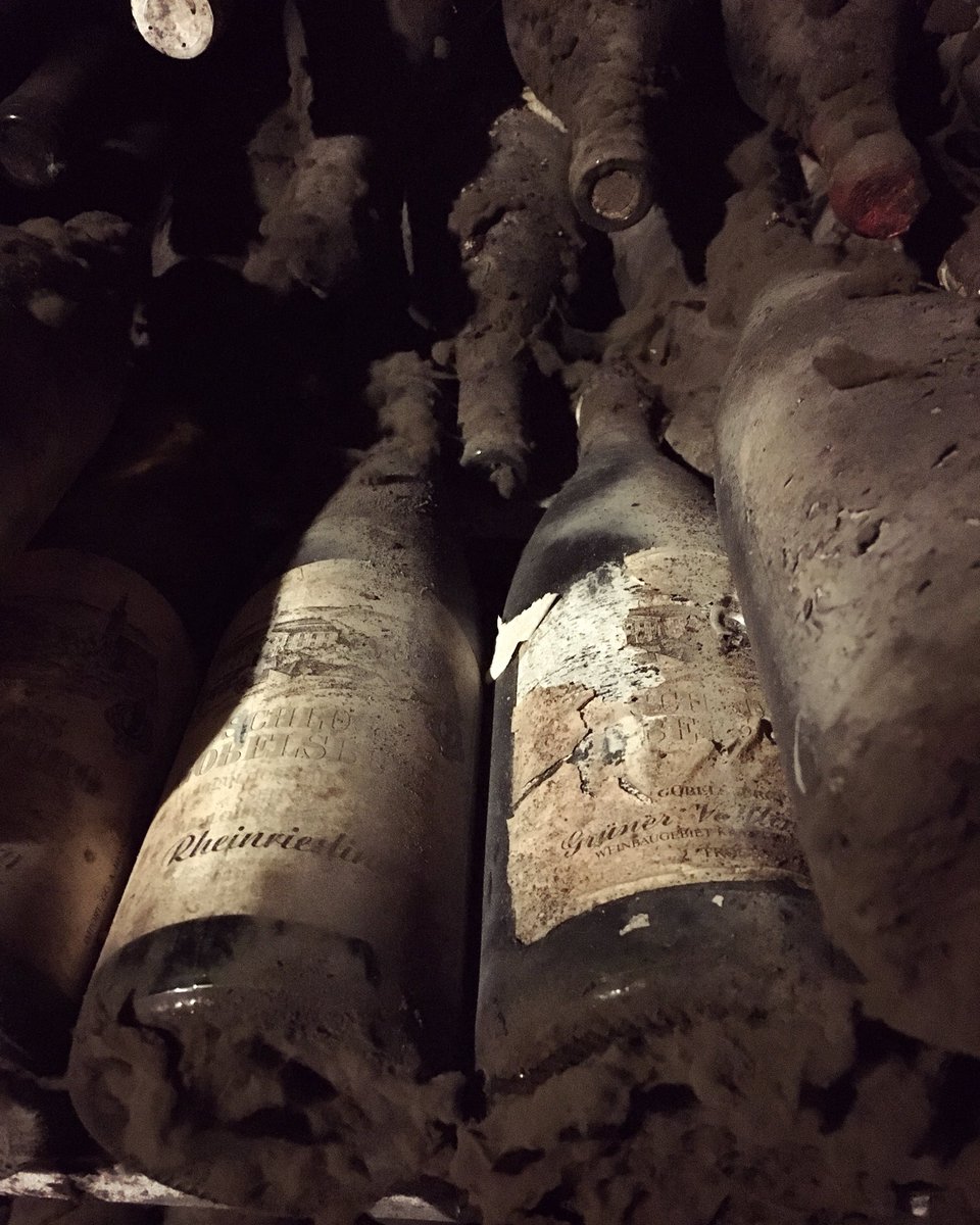 The amazing treasures of #schlossgobelsburg 🚀🚀🚀. Super old #Riesling directly next to super old #grünerveltliner 🌟👏😊. #wine #winelover #winefreak #sommlife #sommelier #finewine #somm #wineo #wein #vino #winetime #winenot #wineenthusiast #wineporn