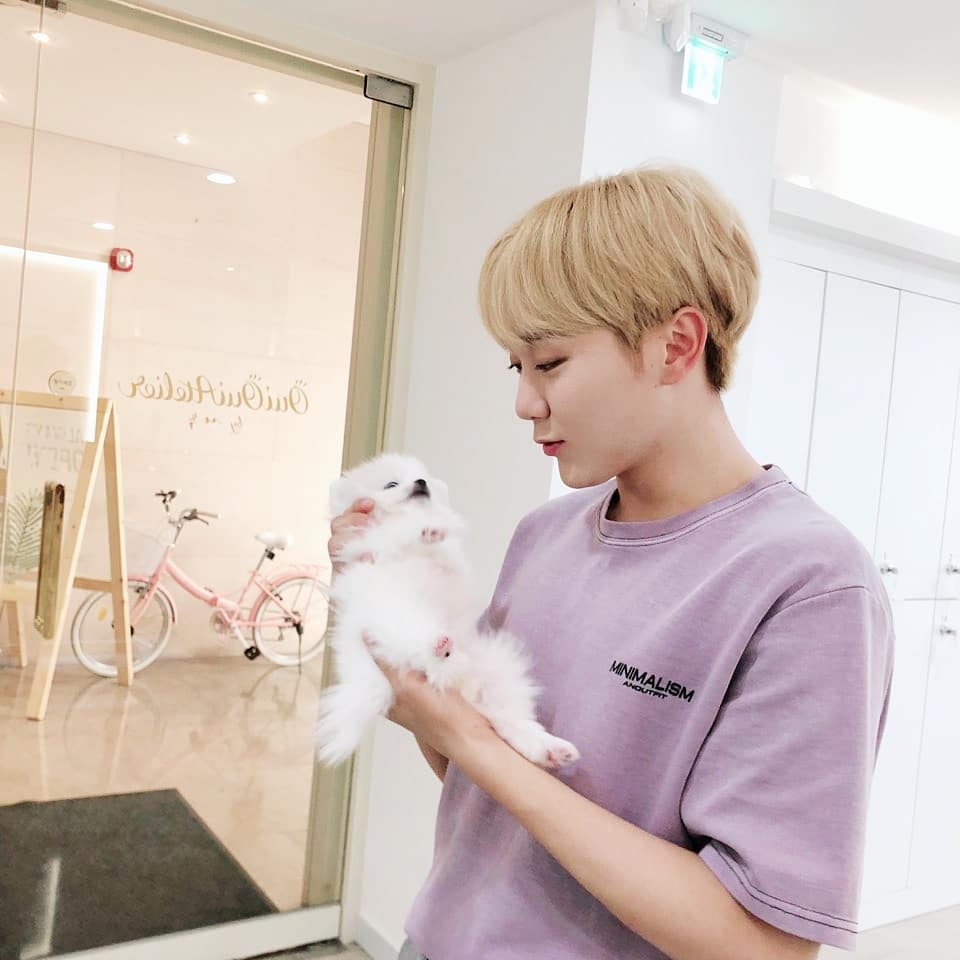 SVT_DivaBoo_'s tweet photo. #NewProfilePic https://t.co/xq3IYEMWIr