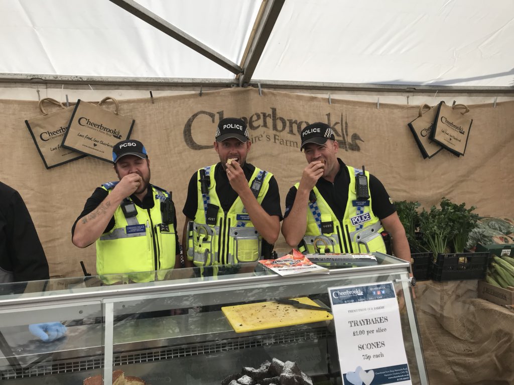 Cheerbrook tweet media