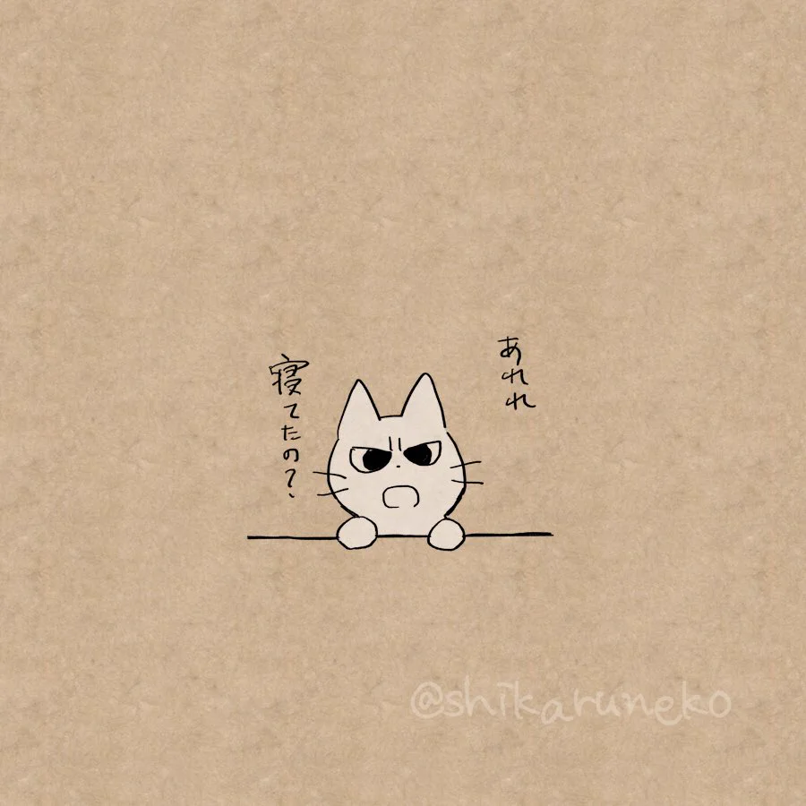 リアルにいてほしい・・・作業中の寝落ちを叱ってくれる猫！