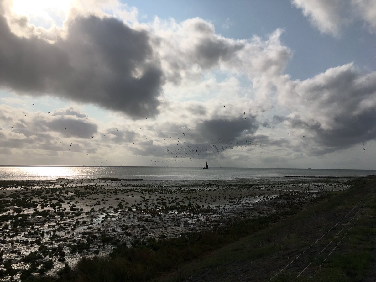 La_Grappa's tweet photo. #Terschelling una delle isole #Frisone mare #Wadden e spiagge meravigliose https://t.co/lIHR1Yx1Mu