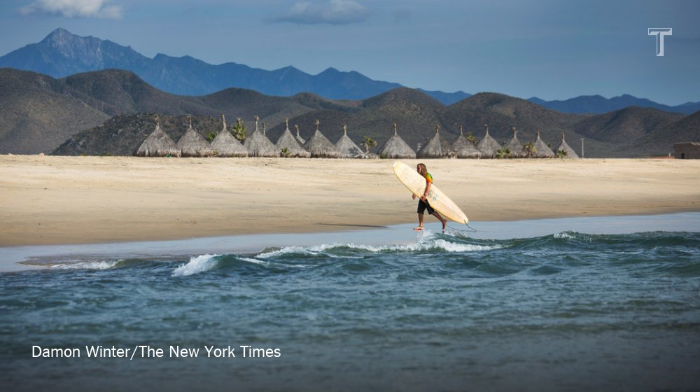 T Magazine tweet media