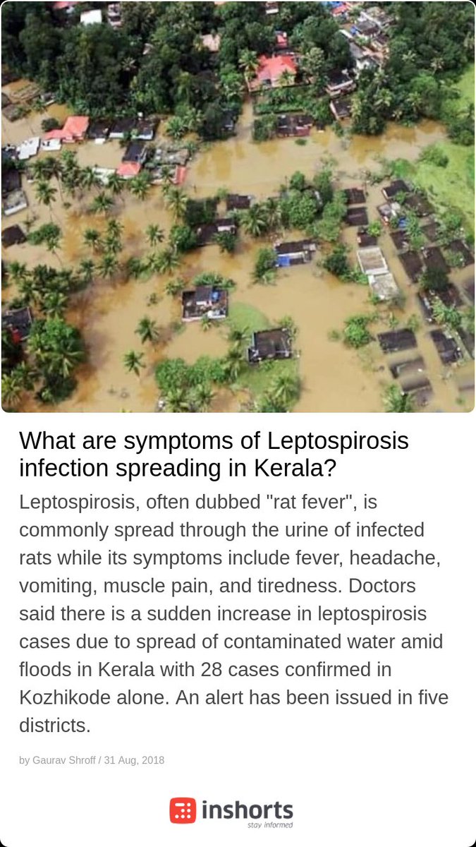 What are symptoms of Leptospirosis infection spreading in Kerala? Stay Informed with Inshorts, India’s Highest Rated News app!