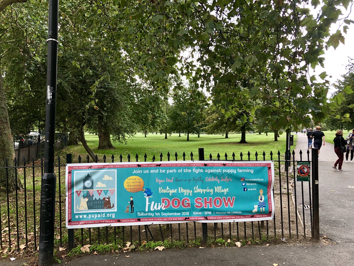 marcthevet's tweet photo. This time tomorrow folks!! Thanks to everyone who’s been talking about #pupaid2018 &amp; supporting #LucysLaw we really appreciate it. Looking forward to welcoming you all on Sat from 10am-5pm. Thanks again X #wheresmum #adopt #PrimroseHill #London #dogsoftwitter https://t.co/4FMO96fVGl