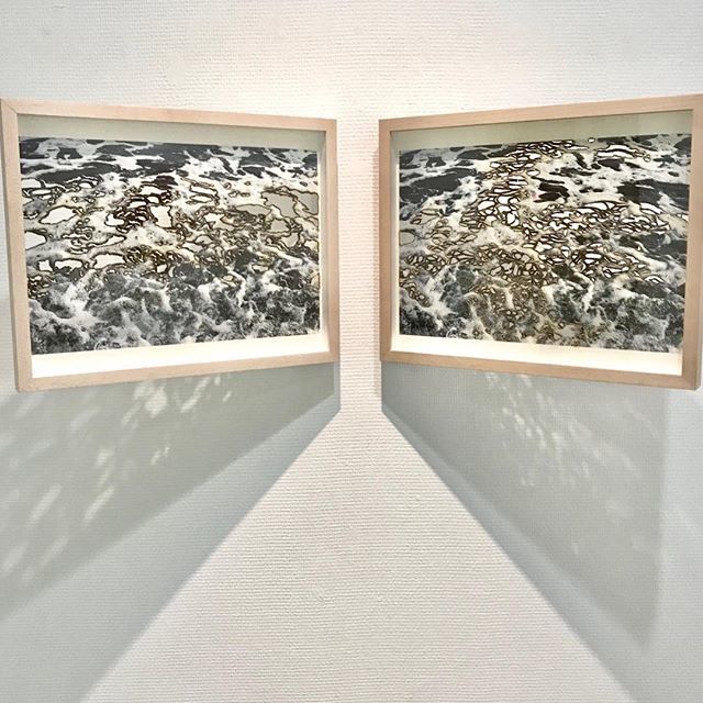 yukitawada's tweet photo. Now on the show! #悪魔祓い系統樹神経の森 #gpgallery #yukitawada #多和田有希 #postmedium #burntphotography #contemporaryphotography #japanesephotography #contemporaryart https://t.co/7zN0iMQrxr